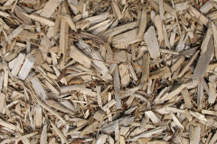 biomass boilers Lamorick