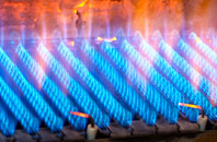 Lamorick gas fired boilers